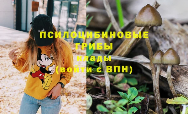Альфа ПВП Балахна