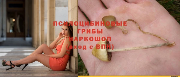 каннабис Баксан